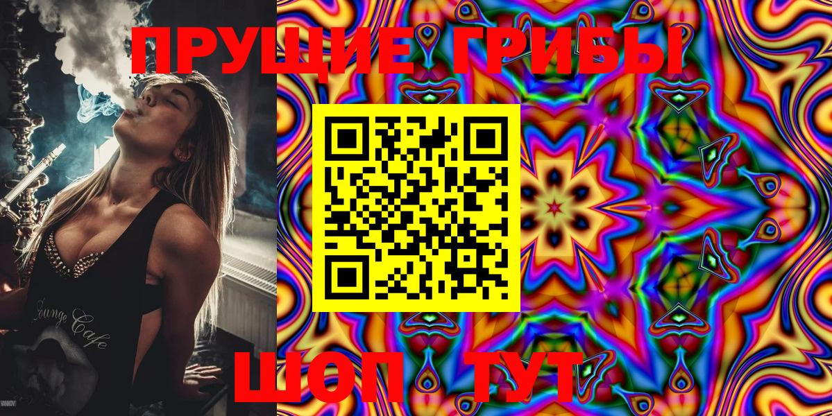 Тайшет  Галлюциногенные грибы Psilocybe  Вход с VPN  Псилоцибиновые грибы Psilocybine cubensis 